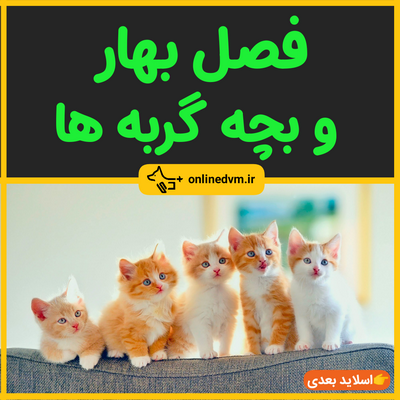 پست اینستاگرام