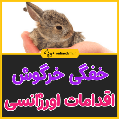 پست اینستاگرام
